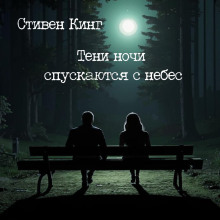 Тени ночи спускаются с небес - Стивен Кинг - современные аудиокниги попаданцы мр3 слушать на лучшем сайте booksaudio-online.com