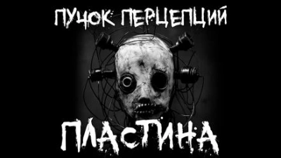Пластина - Пучок Перцепций - современные аудиокниги попаданцы мр3 слушать на лучшем сайте booksaudio-online.com