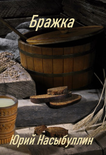 Бражка - Юрий Насыбуллин - современные аудиокниги попаданцы мр3 слушать на лучшем сайте booksaudio-online.com