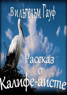 История о Калифе-Аисте - Вильгельм Гауф - современные аудиокниги попаданцы мр3 слушать на лучшем сайте booksaudio-online.com