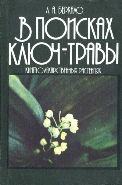В поисках ключ-травы - Людмила Беркало - современные аудиокниги попаданцы мр3 слушать на лучшем сайте booksaudio-online.com