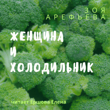 Женщина и холодильник. Сборник рассказов - Зоя Арефьева - современные аудиокниги попаданцы мр3 слушать на лучшем сайте booksaudio-online.com