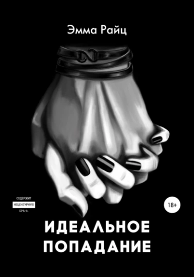 Идеальное попадание - Эмма Райц - современные аудиокниги попаданцы мр3 слушать на лучшем сайте booksaudio-online.com