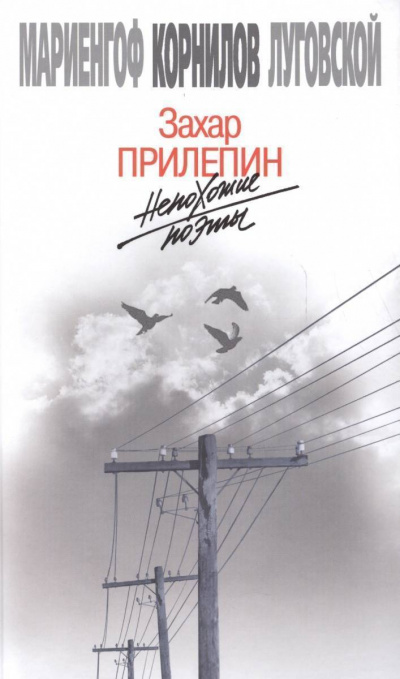 Непохожие поэты - Захар Прилепин - современные аудиокниги попаданцы мр3 слушать на лучшем сайте booksaudio-online.com