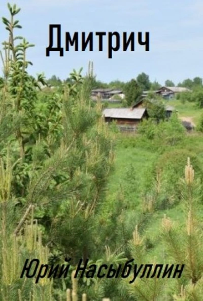 Дмитрич - Юрий Насыбуллин - современные аудиокниги попаданцы мр3 слушать на лучшем сайте booksaudio-online.com
