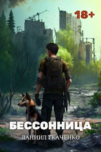 Бессонница - Даниил Ткаченко - современные аудиокниги попаданцы мр3 слушать на лучшем сайте booksaudio-online.com