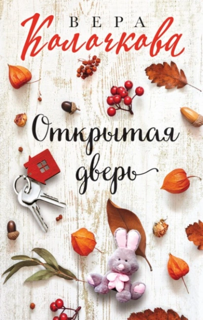 Открытая дверь - Вера Колочкова - современные аудиокниги попаданцы мр3 слушать на лучшем сайте booksaudio-online.com