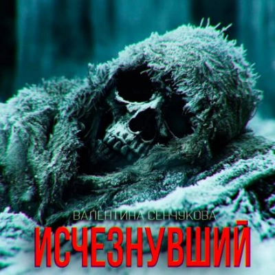 Исчезнувший - Валентина Сенчукова - современные аудиокниги попаданцы мр3 слушать на лучшем сайте booksaudio-online.com