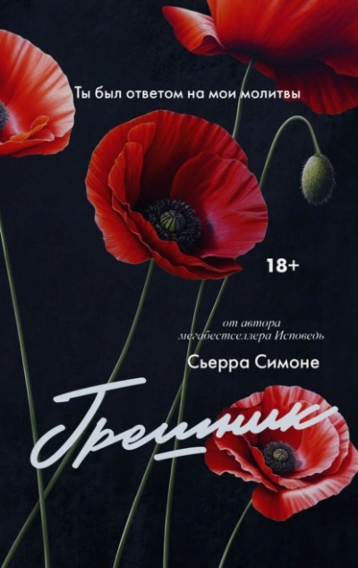 Грешник - Симоне Сьерра - современные аудиокниги попаданцы мр3 слушать на лучшем сайте booksaudio-online.com