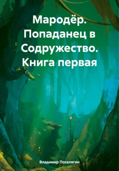 Попаданец в Содружество - Владимир Поселягин - современные аудиокниги попаданцы мр3 слушать на лучшем сайте booksaudio-online.com