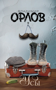Усы. Эссе и рассказы - Владимир Орлов - современные аудиокниги попаданцы мр3 слушать на лучшем сайте booksaudio-online.com