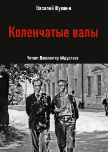 Коленчатые валы - Василий Шукшин - современные аудиокниги попаданцы мр3 слушать на лучшем сайте booksaudio-online.com
