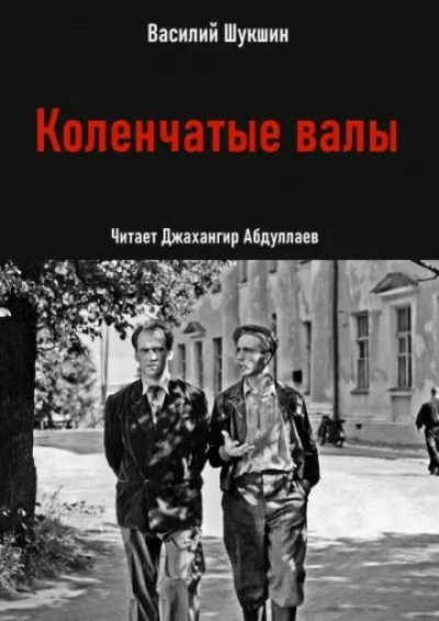 Коленчатые валы - Василий Шукшин - современные аудиокниги попаданцы мр3 слушать на лучшем сайте booksaudio-online.com