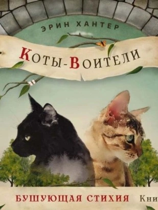 Бушующая стихия - Эрин Хантер - современные аудиокниги попаданцы мр3 слушать на лучшем сайте booksaudio-online.com
