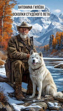 Осколки студёного лета - Антонина Гилёва - современные аудиокниги попаданцы мр3 слушать на лучшем сайте booksaudio-online.com