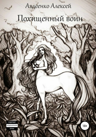 Похищенный воин - Алексей Авдеенко - современные аудиокниги попаданцы мр3 слушать на лучшем сайте booksaudio-online.com