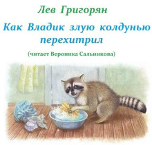 Как Владик злую колдунью перехитрил - Лев Григорян - современные аудиокниги попаданцы мр3 слушать на лучшем сайте booksaudio-online.com