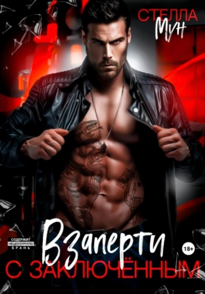 Взаперти с заключенным - Стелла Мун - современные аудиокниги попаданцы мр3 слушать на лучшем сайте booksaudio-online.com