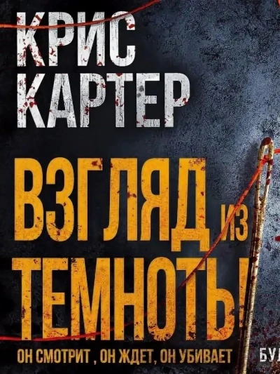 Взгляд из темноты - Крис Картер - современные аудиокниги попаданцы мр3 слушать на лучшем сайте booksaudio-online.com