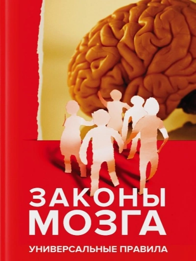 Законы мозга. Универсальные правила - Андрей Курпатов - современные аудиокниги попаданцы мр3 слушать на лучшем сайте booksaudio-online.com