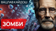 Зомби - Вацлав Кайдош - современные аудиокниги попаданцы мр3 слушать на лучшем сайте booksaudio-online.com