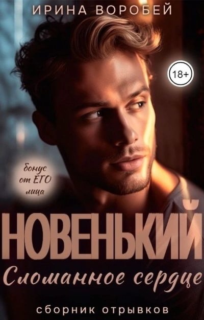 Новенький. Сломанное сердце - Ирина Воробей - современные аудиокниги попаданцы мр3 слушать на лучшем сайте booksaudio-online.com