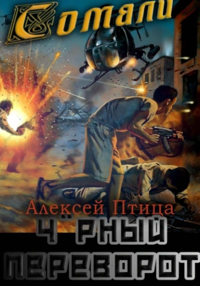 Чёрный переворот - Алексей Птица - современные аудиокниги попаданцы мр3 слушать на лучшем сайте booksaudio-online.com