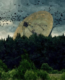 Птичьи стаи - Роман Чёрный - современные аудиокниги попаданцы мр3 слушать на лучшем сайте booksaudio-online.com