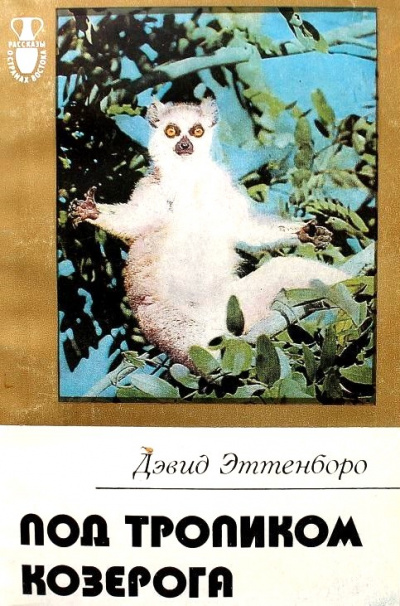 Под тропиком козерога - Дэвид Эттенборо - современные аудиокниги попаданцы мр3 слушать на лучшем сайте booksaudio-online.com
