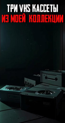 Три VHS-кассеты из моей коллекции - Автор неизвестен - современные аудиокниги попаданцы мр3 слушать на лучшем сайте booksaudio-online.com