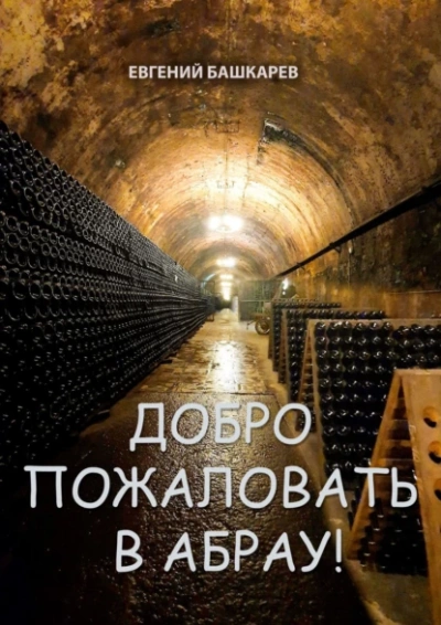 Добро пожаловать в Абрау! - Евгений Башкарев - современные аудиокниги попаданцы мр3 слушать на лучшем сайте booksaudio-online.com