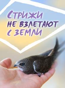 Стрижи не взлетают с земли - Автор неизвестен - современные аудиокниги попаданцы мр3 слушать на лучшем сайте booksaudio-online.com