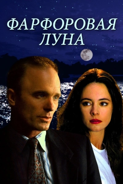 Фарфоровая луна - Джени Чан - современные аудиокниги попаданцы мр3 слушать на лучшем сайте booksaudio-online.com