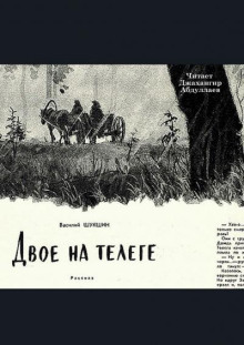 Двое на телеге - Василий Шукшин - современные аудиокниги попаданцы мр3 слушать на лучшем сайте booksaudio-online.com