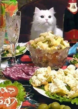 Новогодние мученики - Антон Чехов - современные аудиокниги попаданцы мр3 слушать на лучшем сайте booksaudio-online.com