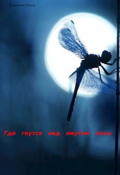 Где гнутся над омутом лозы - Ольга Кузьмина - современные аудиокниги попаданцы мр3 слушать на лучшем сайте booksaudio-online.com