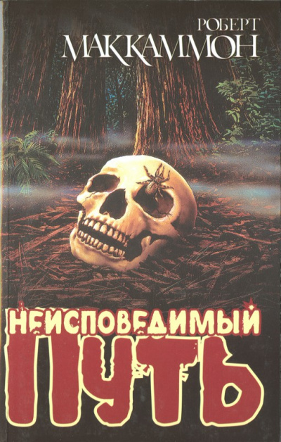 Неисповедимый путь - Роберт Маккаммон - современные аудиокниги попаданцы мр3 слушать на лучшем сайте booksaudio-online.com