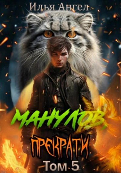 Манулов, прекрати! Том 5 - Илья Ангел - современные аудиокниги попаданцы мр3 слушать на лучшем сайте booksaudio-online.com