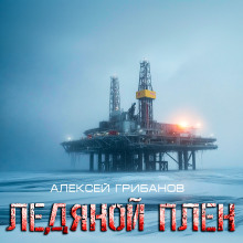 Ледяной плен - Алексей Грибанов - современные аудиокниги попаданцы мр3 слушать на лучшем сайте booksaudio-online.com