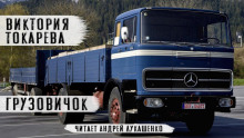 Грузовичок - Виктория Токарева - современные аудиокниги попаданцы мр3 слушать на лучшем сайте booksaudio-online.com