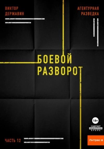 Боевой разворот - Виктор Державин - современные аудиокниги попаданцы мр3 слушать на лучшем сайте booksaudio-online.com