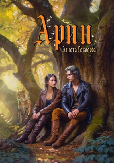 Арин - Анюта Соколова - современные аудиокниги попаданцы мр3 слушать на лучшем сайте booksaudio-online.com