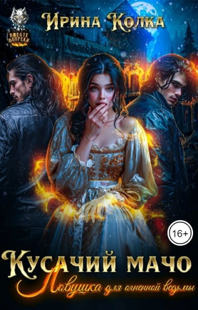 Ловушка для огненной ведьмы - Ирина Колка - современные аудиокниги попаданцы мр3 слушать на лучшем сайте booksaudio-online.com