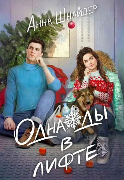 Однажды в лифте - Анна Шнайдер - современные аудиокниги попаданцы мр3 слушать на лучшем сайте booksaudio-online.com