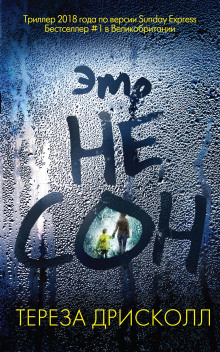 Это не сон - Тереза Дрисколл - современные аудиокниги попаданцы мр3 слушать на лучшем сайте booksaudio-online.com