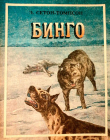 Бинго - Эрнест Сетон-Томпсон - современные аудиокниги попаданцы мр3 слушать на лучшем сайте booksaudio-online.com