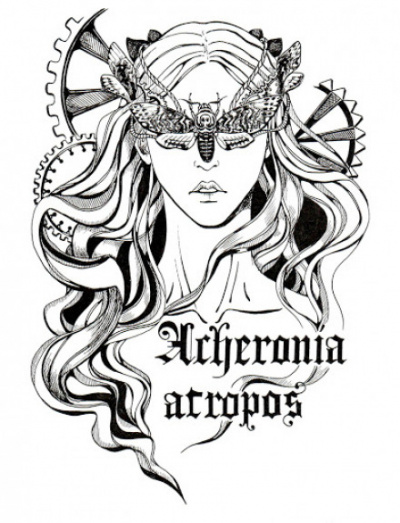 В поиске Холи - Анна Дербенева - современные аудиокниги попаданцы мр3 слушать на лучшем сайте booksaudio-online.com