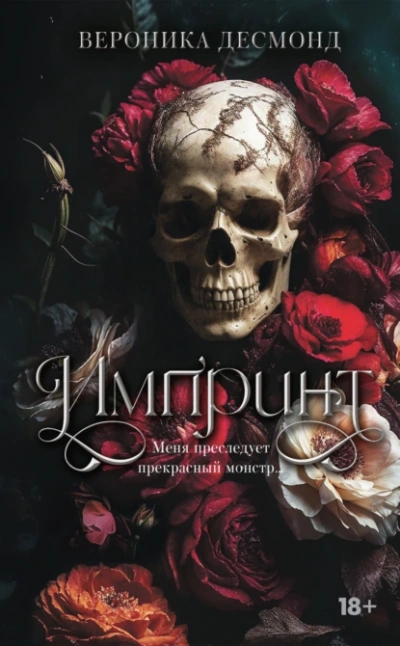 Импринт - Вероника Десмонд - современные аудиокниги попаданцы мр3 слушать на лучшем сайте booksaudio-online.com