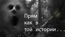 Прям как в той истории... - Пучок Перцепций - современные аудиокниги попаданцы мр3 слушать на лучшем сайте booksaudio-online.com