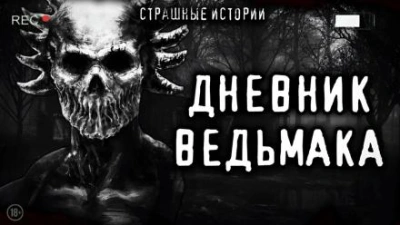 Дневник Ведьмака - современные аудиокниги попаданцы мр3 слушать на лучшем сайте booksaudio-online.com